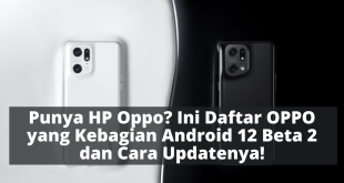 Punya HP Oppo? Ini Daftar OPPO yang Kebagian Android 12 Beta 2 dan Cara Updatenya!