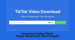 Download Video Tiktok Tanpa Watermark 2022 Snaptik