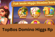 TopBos Domino Higgs Rp