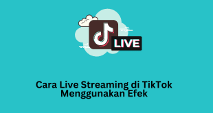 Cara Live Streaming di TikTok Menggunakan Efek